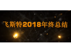 飞斯特汽车科技2018年度总结视频